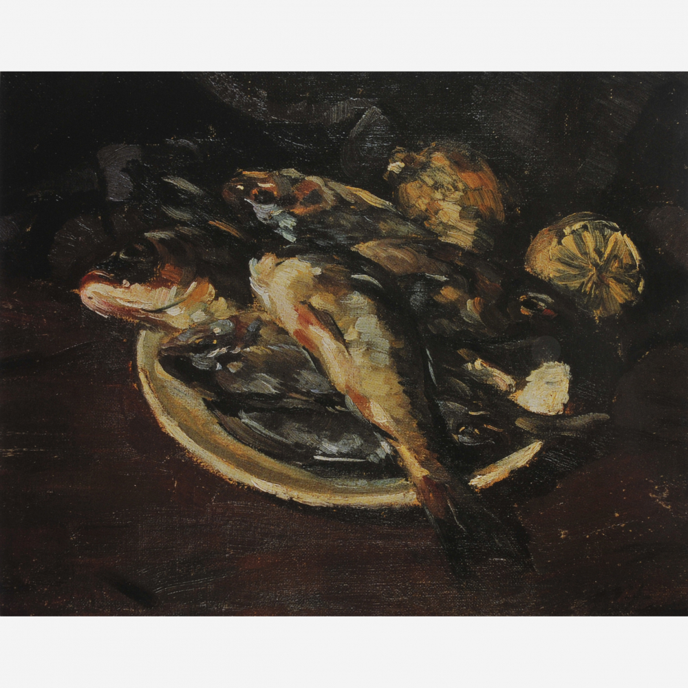 Peixes,1896 - 1988