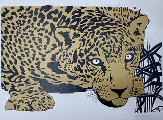 Kleber Ventura - Onça pintada dourada