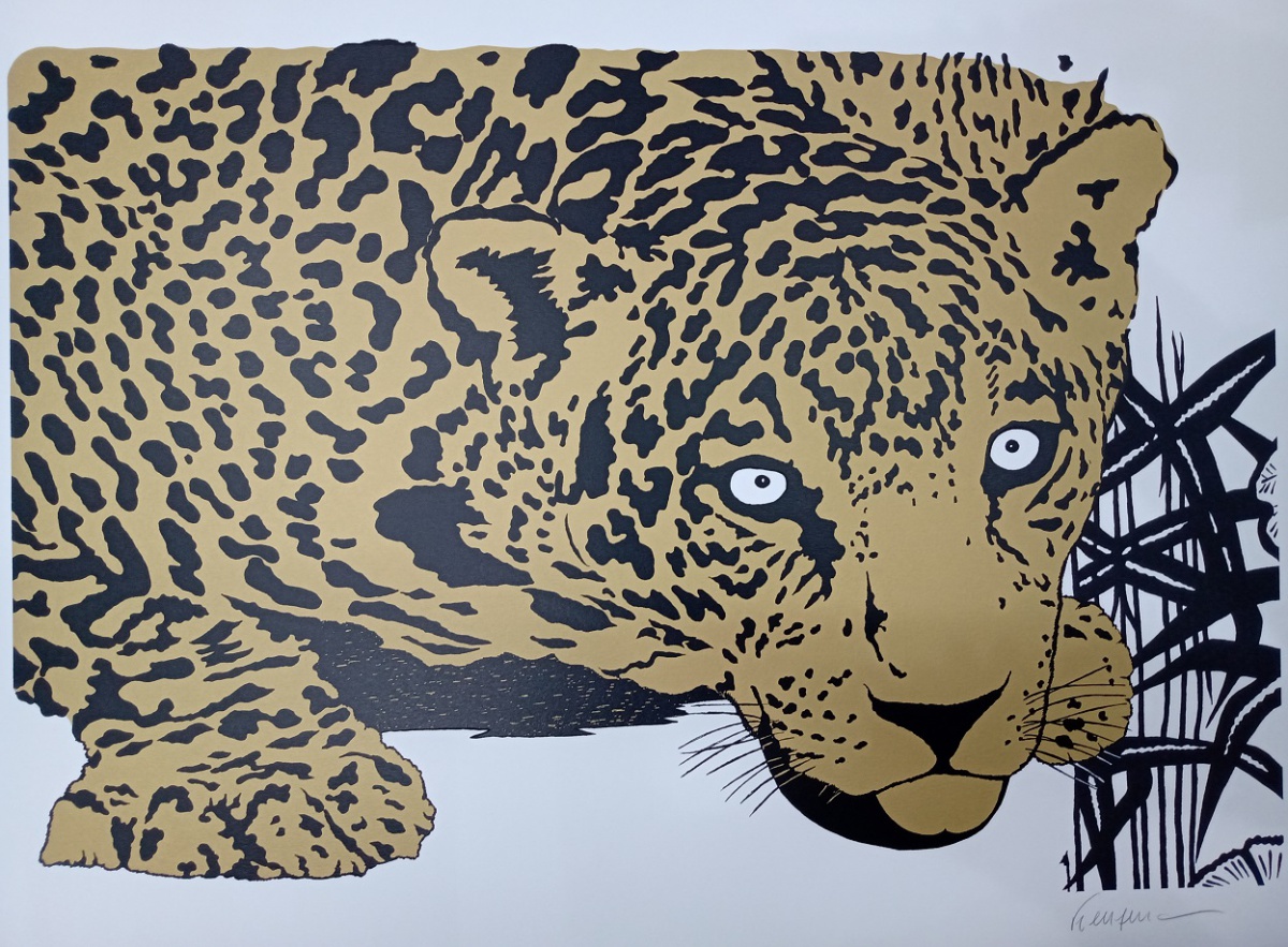 Kleber Ventura - Onça pintada dourada