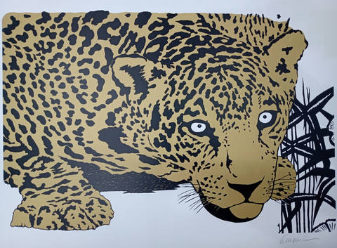 Onça pintada dourada