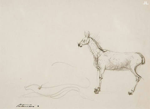 Cavalo