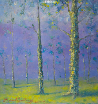 Manoel Santiago - Cascudas
