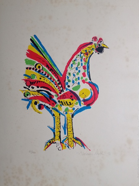 Galo Colorido