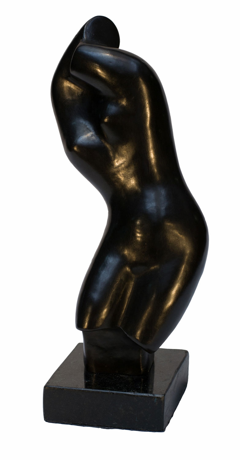 Torso