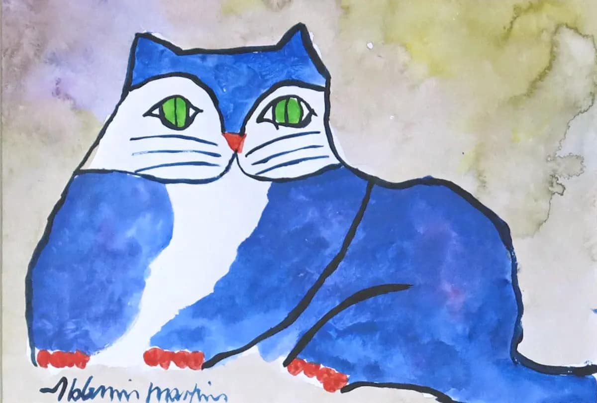 Gato