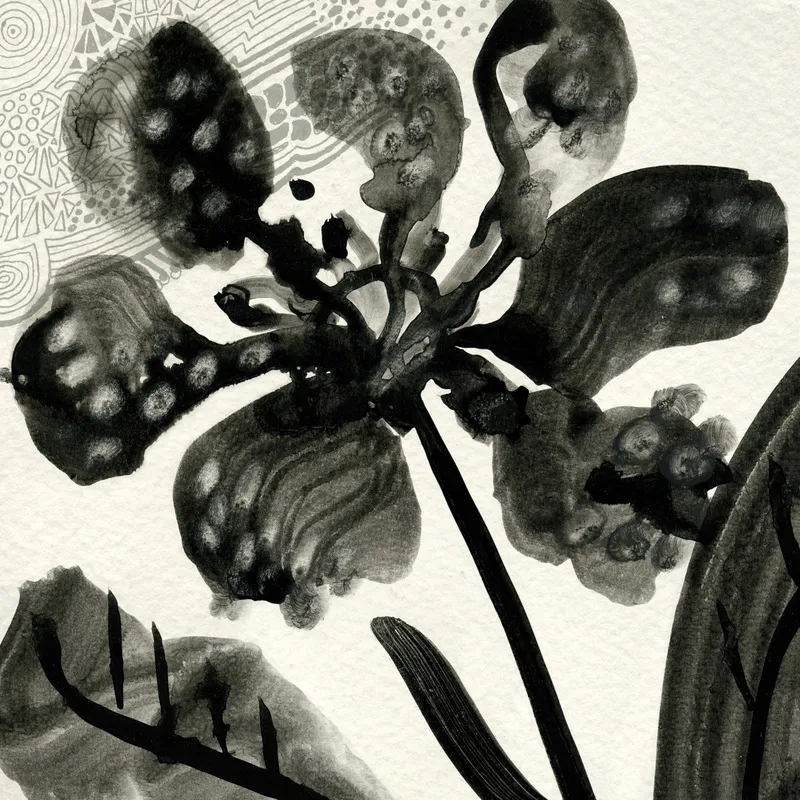 Flores Negras II