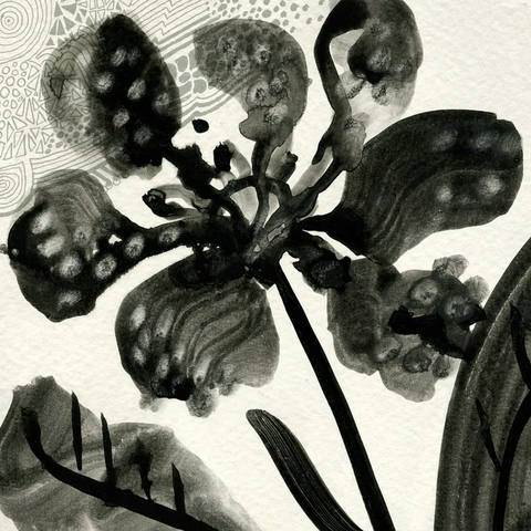 Flores Negras II