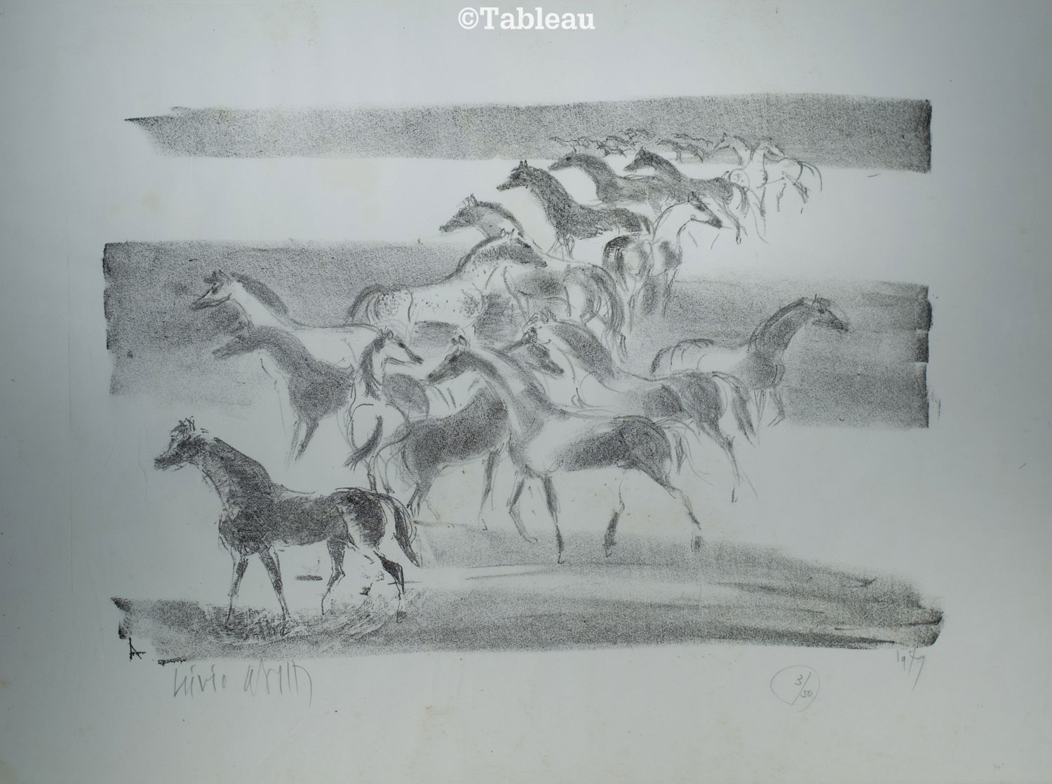 Cavalos