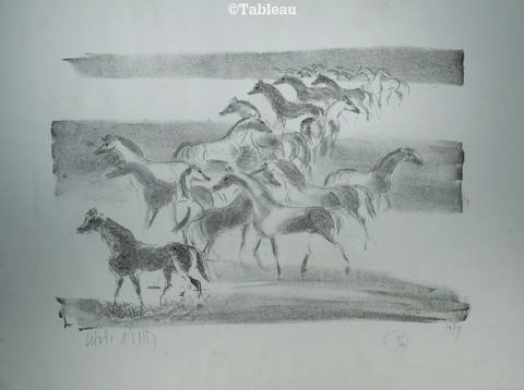 Cavalos