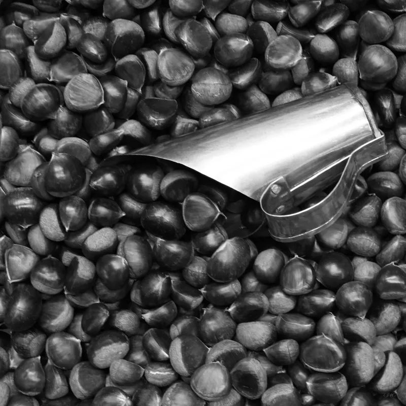 Stela Araujo & Marcos Wilke - Empório Pb - Castanhas 01