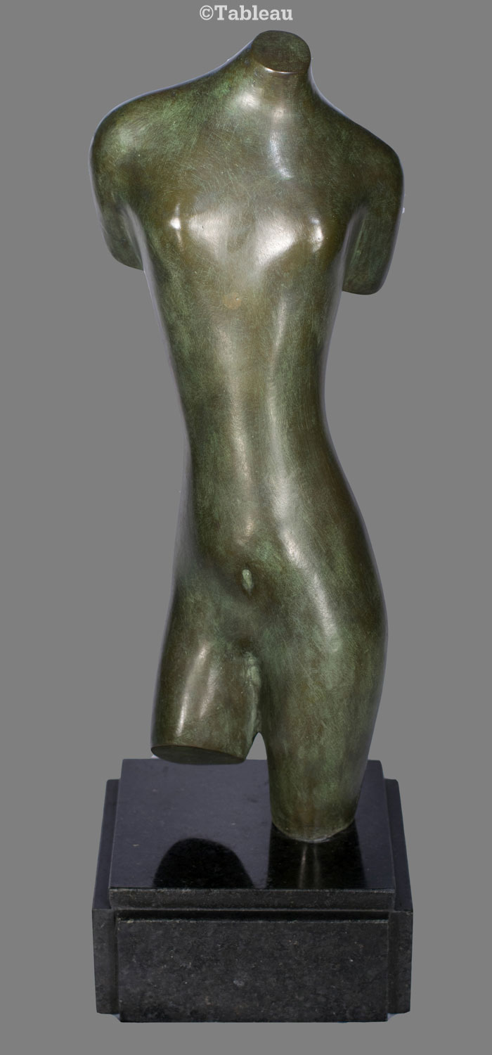 Torso
