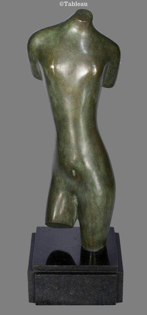 Torso