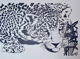 Kleber Ventura - Onça pintada