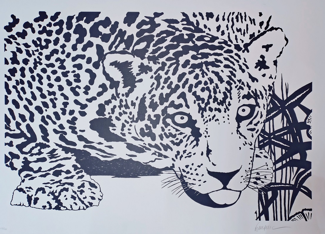 Kleber Ventura - Onça pintada