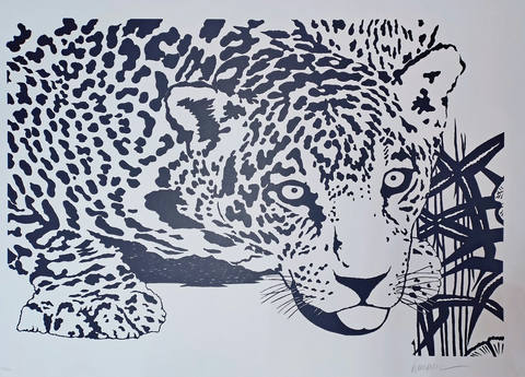Onça pintada