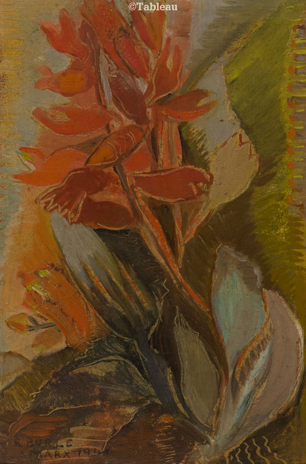 Roberto Burle Marx - Flores