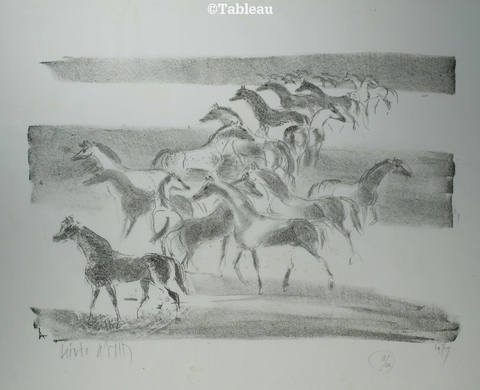 Cavalos
