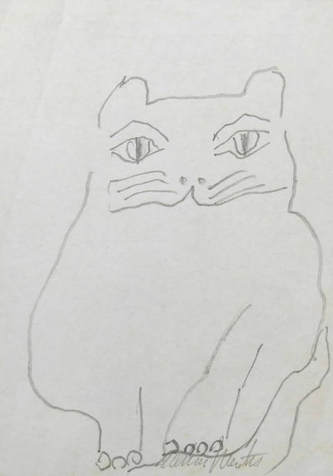 Gato