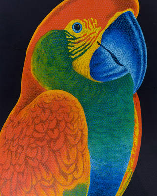 Claudio Tozzi - Papagaio