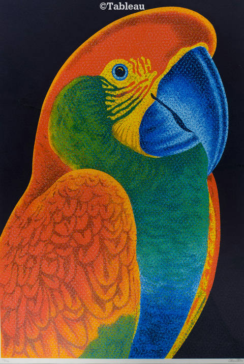 Papagaio