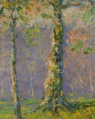 Manoel Santiago - Cascudas