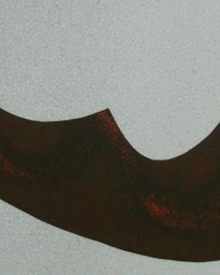 Tomie Ohtake - Máscara