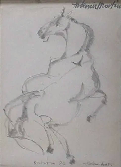 Cavalo