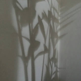 Nato Gomes - Dialogando com as Sombras VII