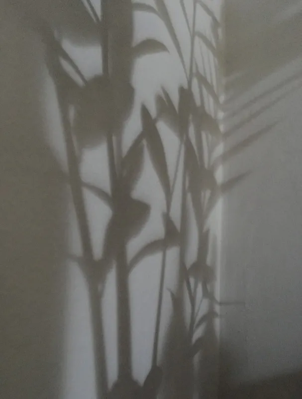 Nato Gomes - Dialogando com as Sombras VII