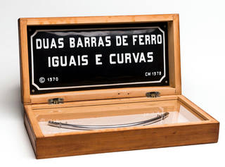 Cildo Meireles - Para ser curvado com os olhos