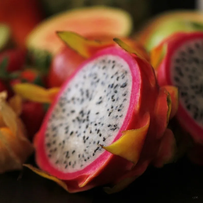 Stela Araujo & Marcos Wilke - Empório - Frutas 19