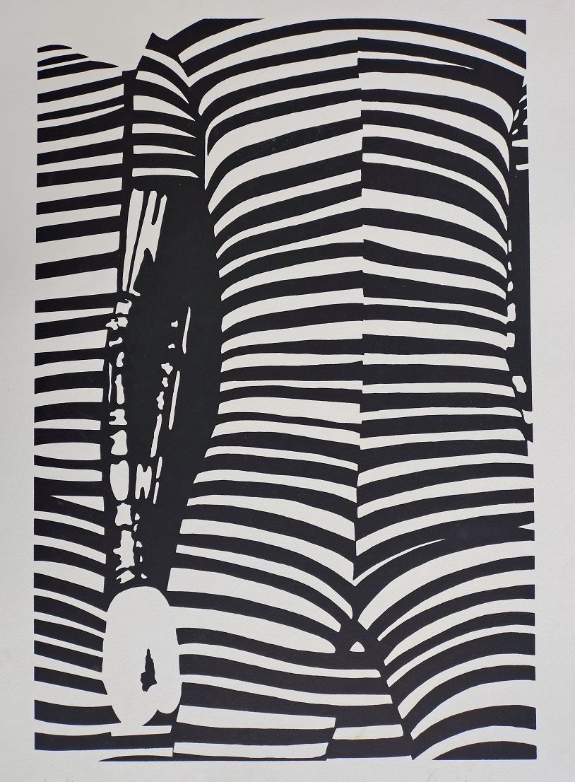 Kleber Ventura - Corpo preto