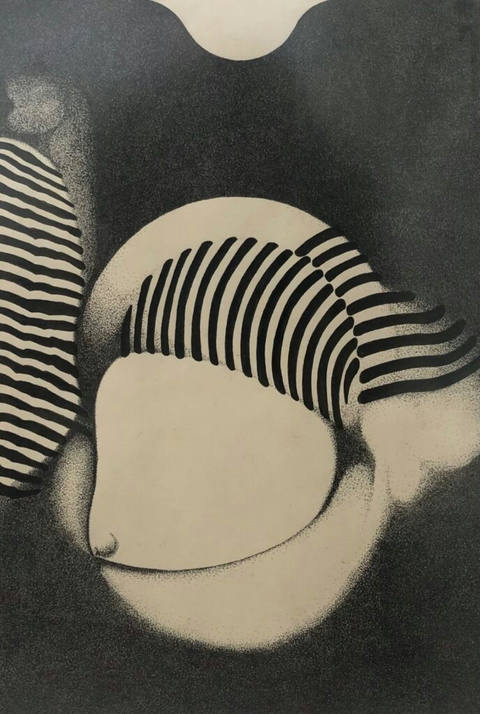 Op-erótico