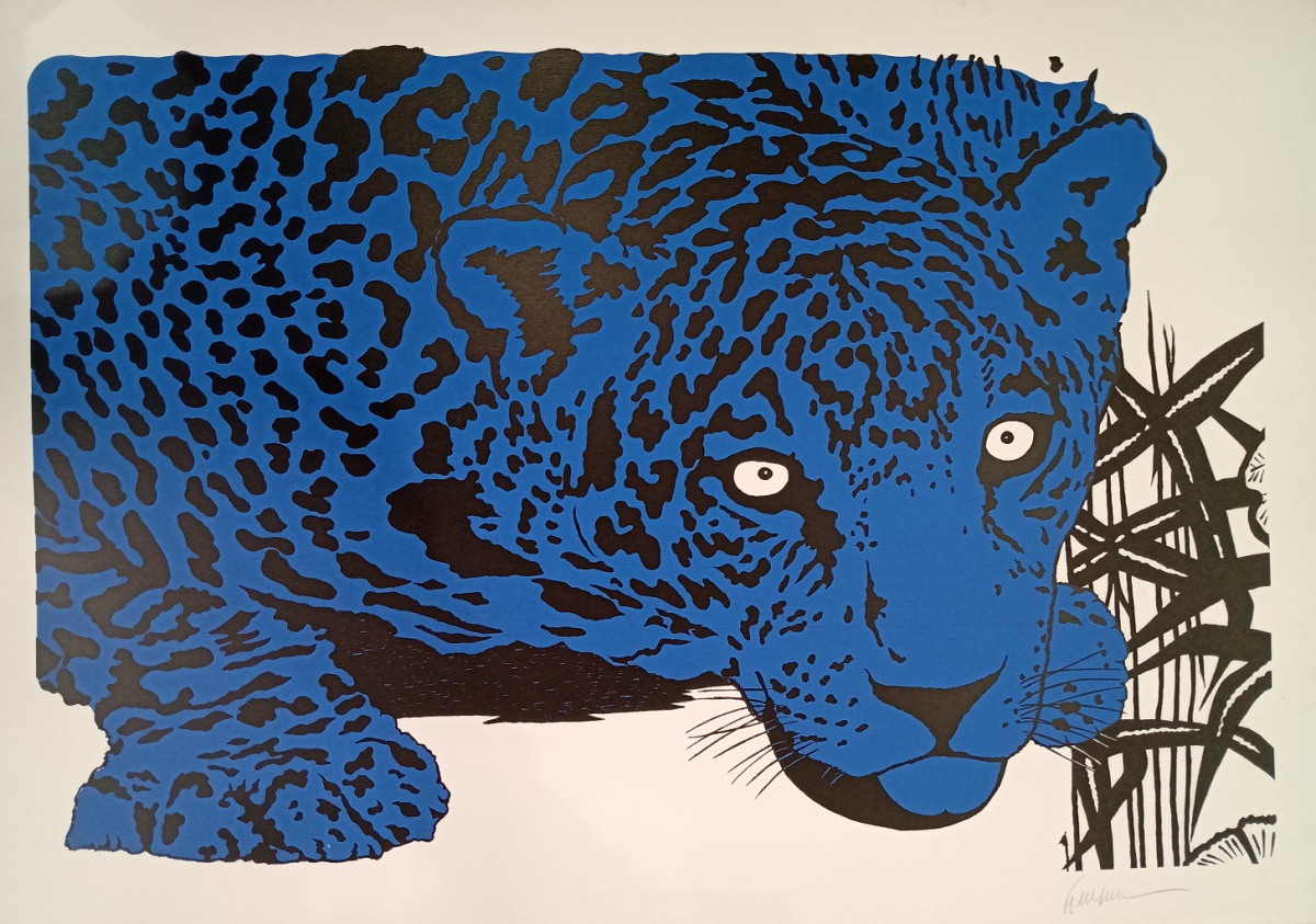 Onça azul