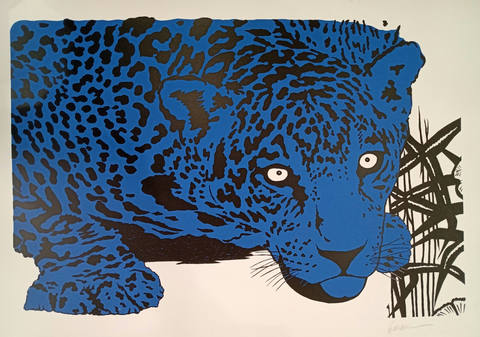 Onça azul