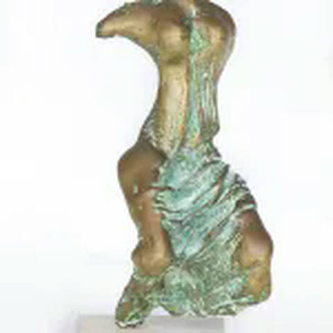 Torso Feminino