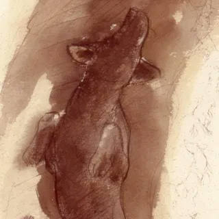 Nato Gomes - Enquanto o Cão Não Ladra III