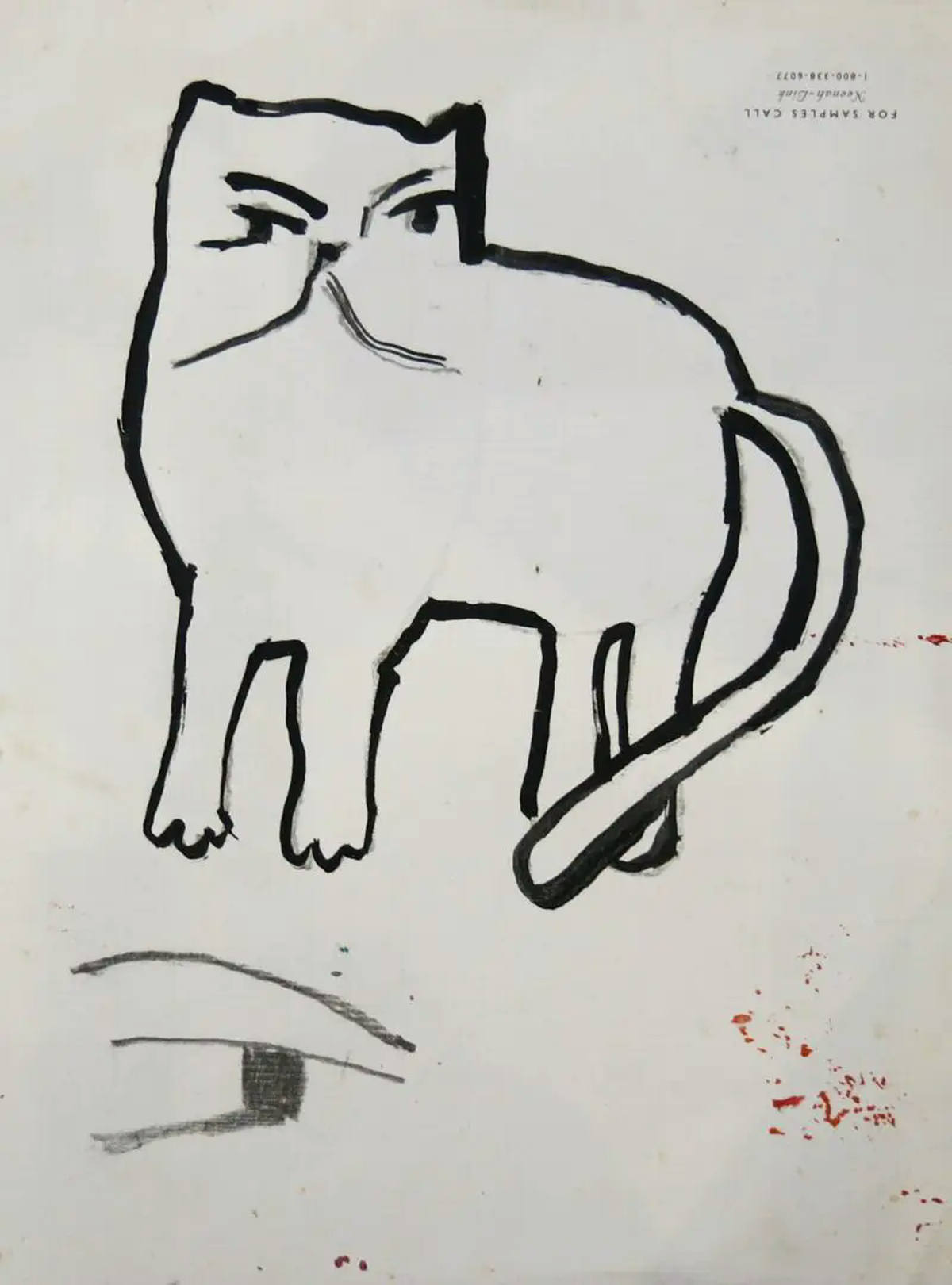 Gato / Peixe no Verso