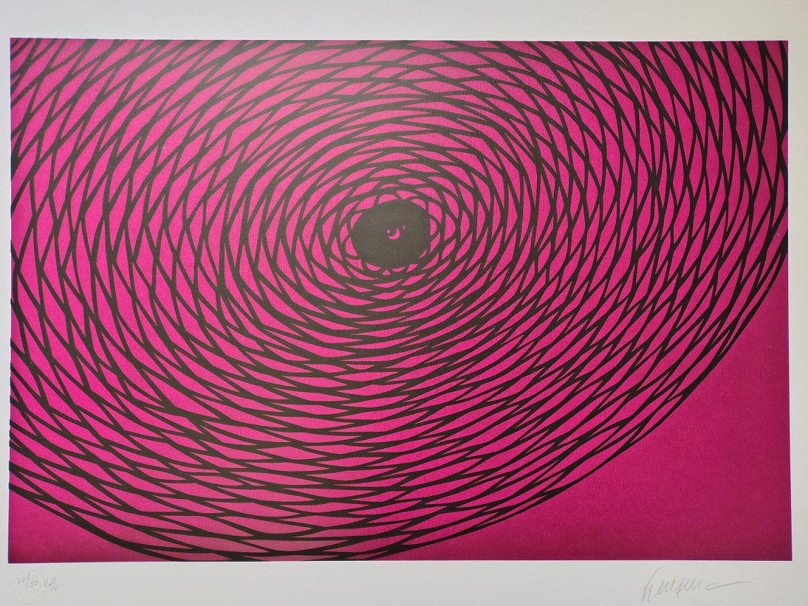 Kleber Ventura - Teia Pink