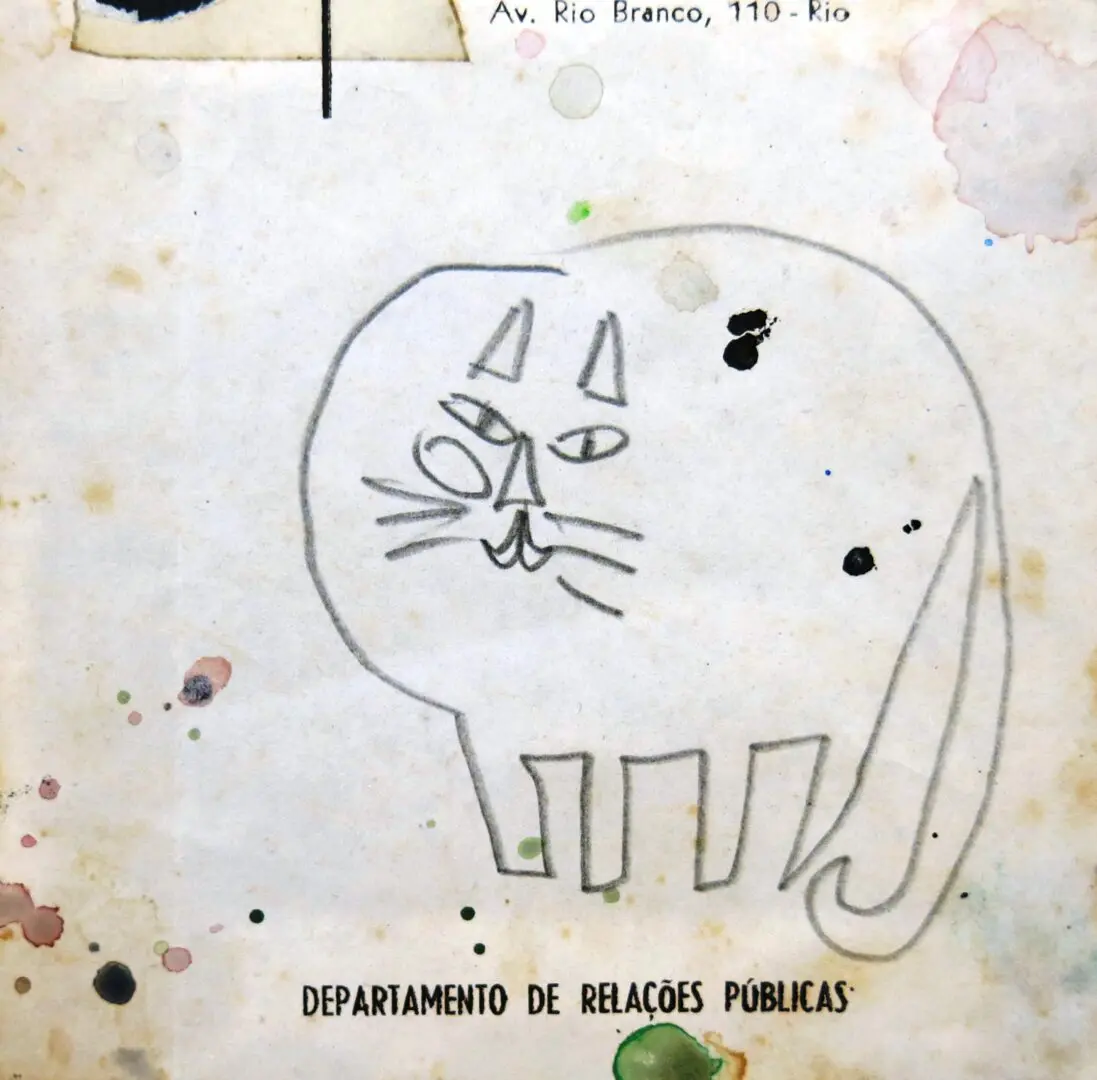 Gato