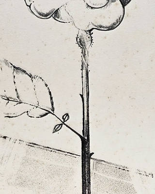 Aldemir Martins - Rosa