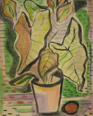 Roberto Burle Marx - Antúrios