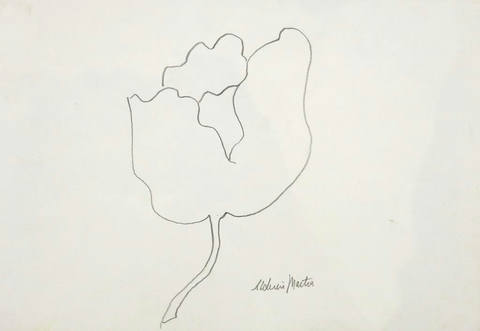 Flor