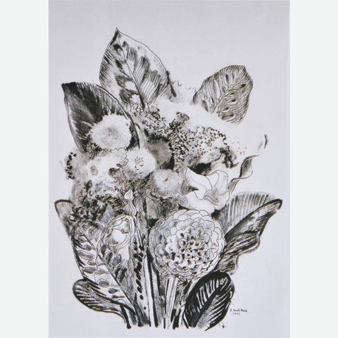Flores