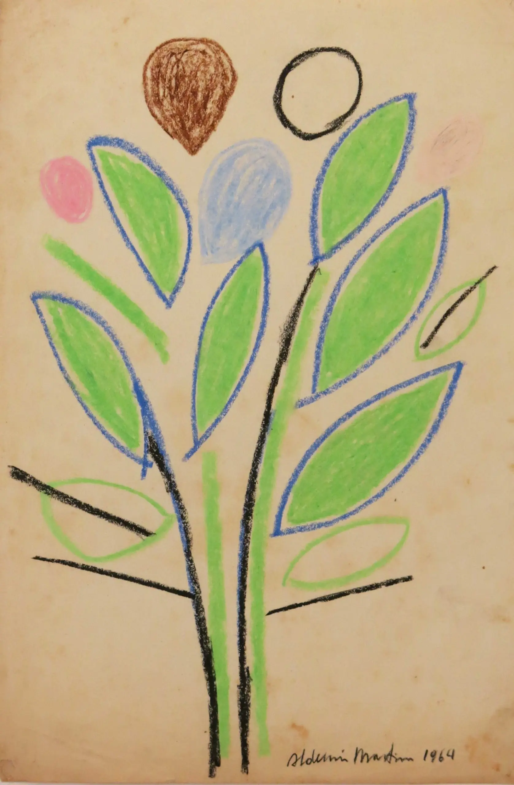Flores