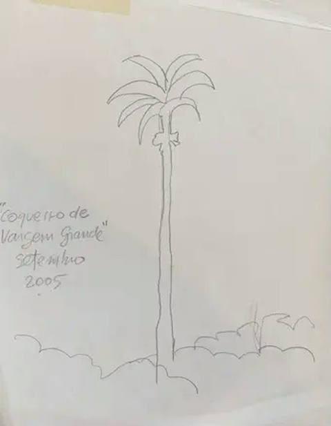 Coqueiro
