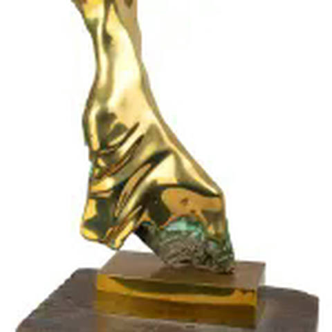 Torso Feminino