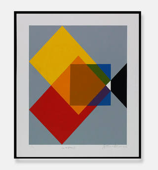 Antonio Peticov - Complexo II