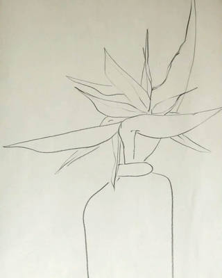 Aldemir Martins - Vaso de Flor - Dec 60