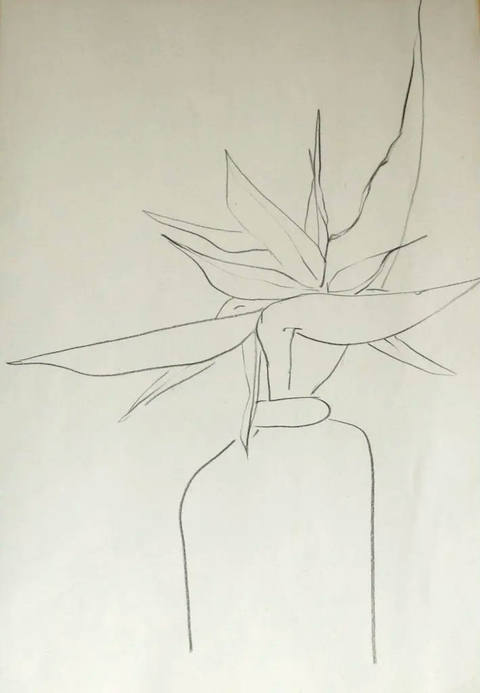 Vaso de Flor - Dec 60
